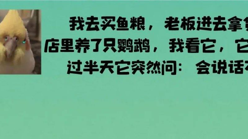 成都烘焙原料，揭秘其背后的品质奥秘